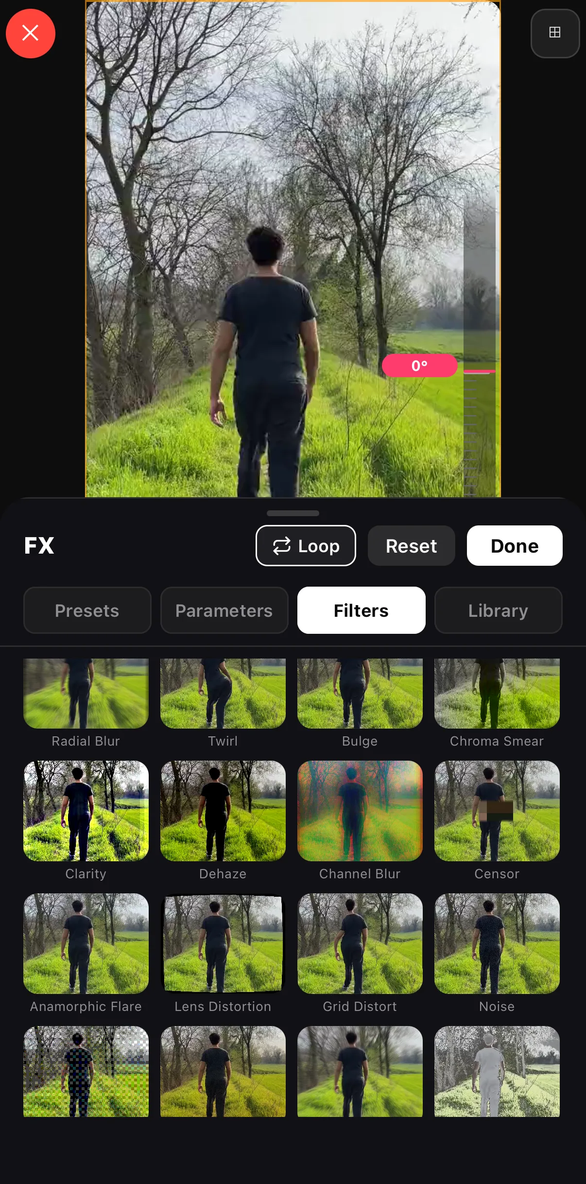 The catalog row with Clarity, Dehaze, Channel Blur and Censor — the Censor tile shows a pixel block over the subject