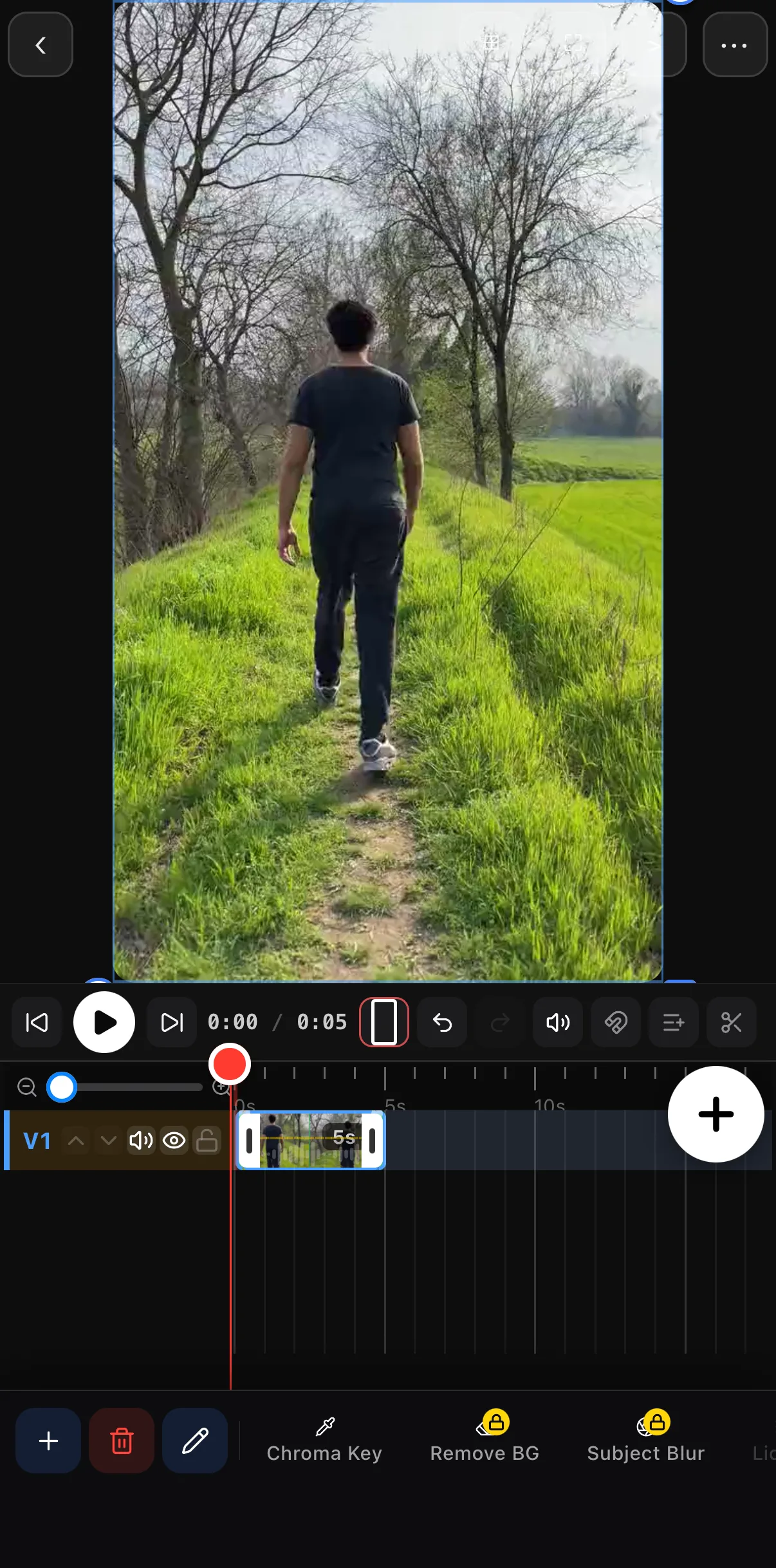 A selected clip's toolbar scrolled to Chroma Key, Remove BG and Subject Blur; the last two carry a lock badge on the Free plan