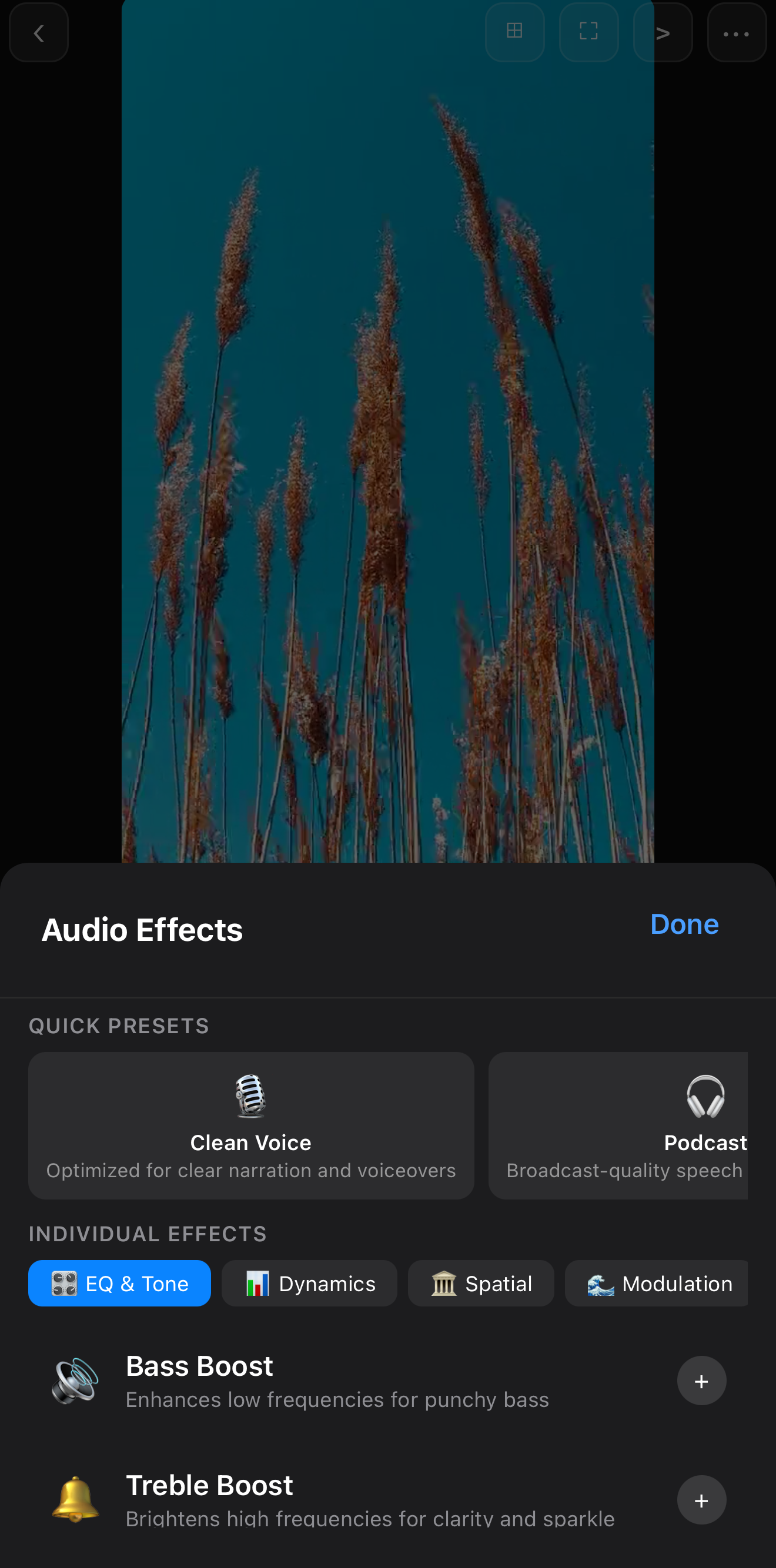 ExpoCut Audio Effects panel showing Clean Voice and Podcast presets and EQ & Tone, Dynamics, Spatial and Modulation tabs
