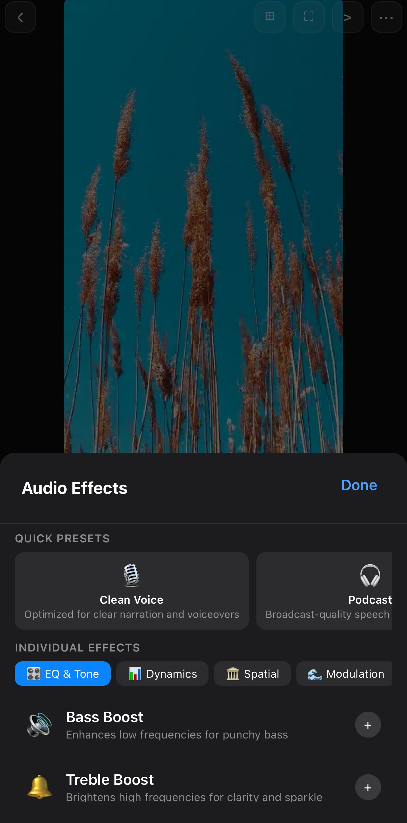 ExpoCut Audio Effects panel showing Clean Voice and Podcast presets and EQ & Tone, Dynamics, Spatial and Modulation tabs