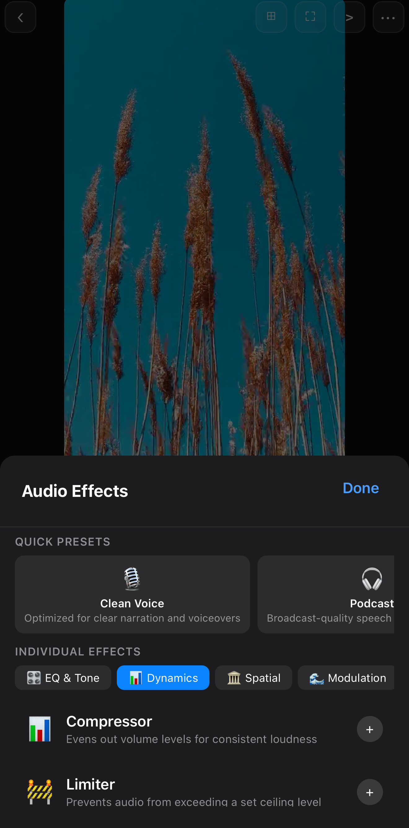 The Dynamics tab of Audio Effects showing a Compressor for consistent loudness and a Limiter that prevents audio from exceeding a ceiling