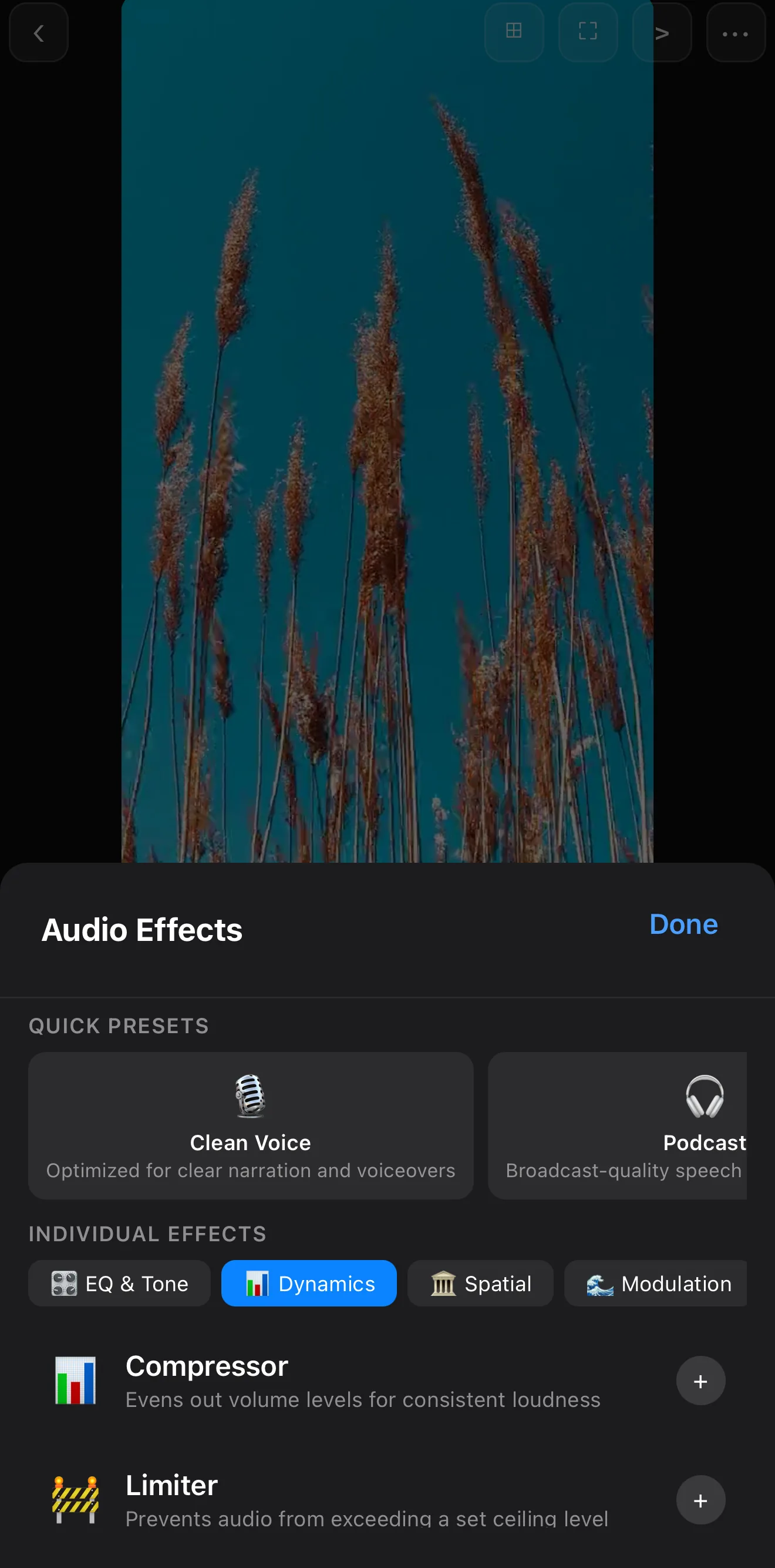The Dynamics tab of Audio Effects showing a Compressor for consistent loudness and a Limiter that prevents audio from exceeding a ceiling