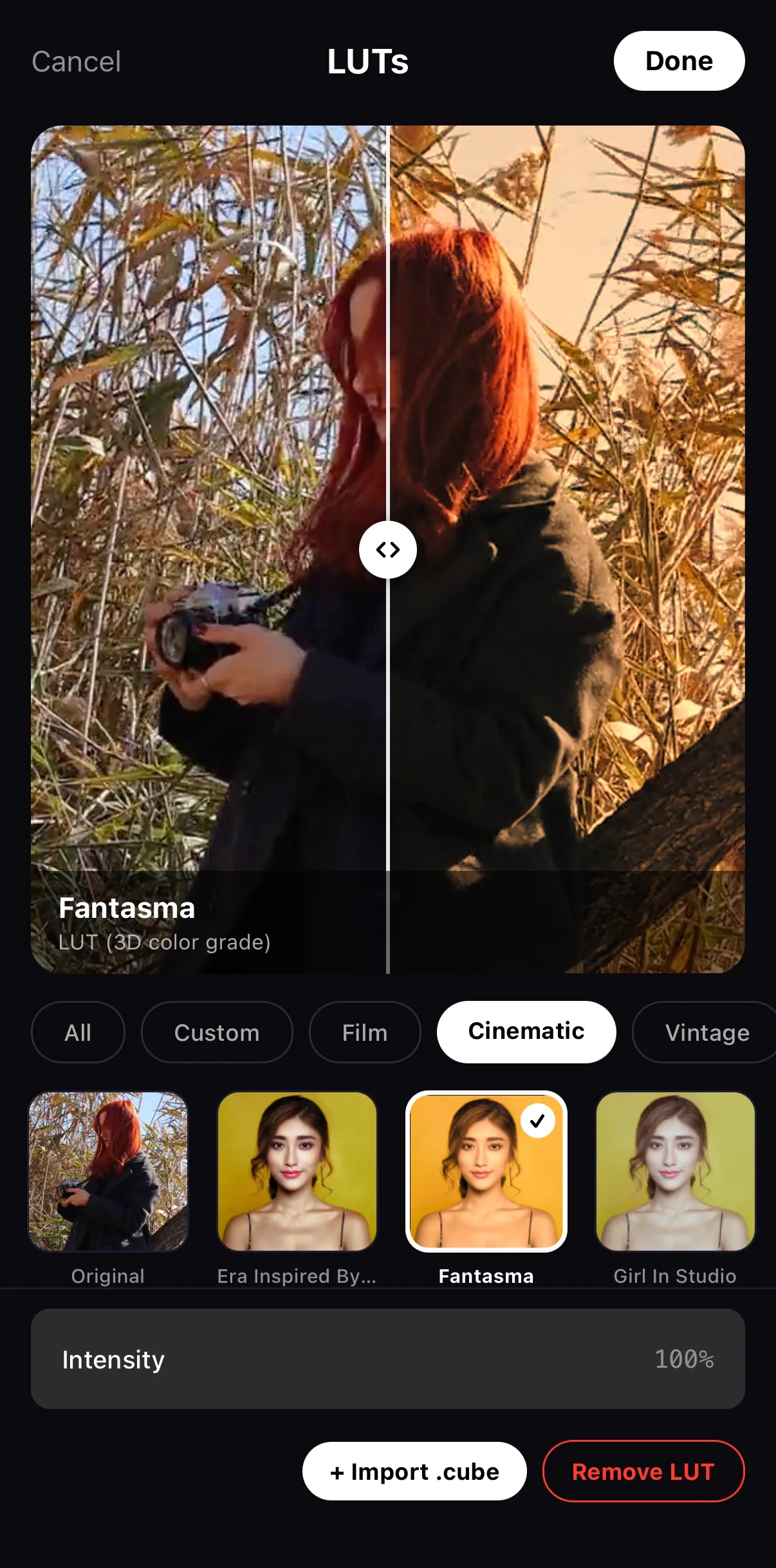 The LUTs panel with the Cinematic tab selected and the Fantasma LUT applied; a compare line splits the portrait, Intensity reads 100%, and buttons read + Import .cube and Remove LUT.