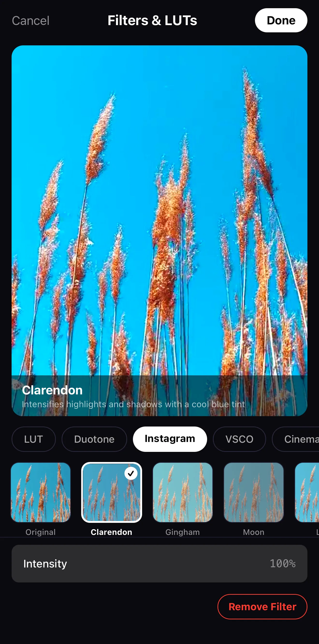 A cinematic filter applied at 100% intensity in the ExpoCut Filters and LUTs panel, with the intensity slider at the bottom