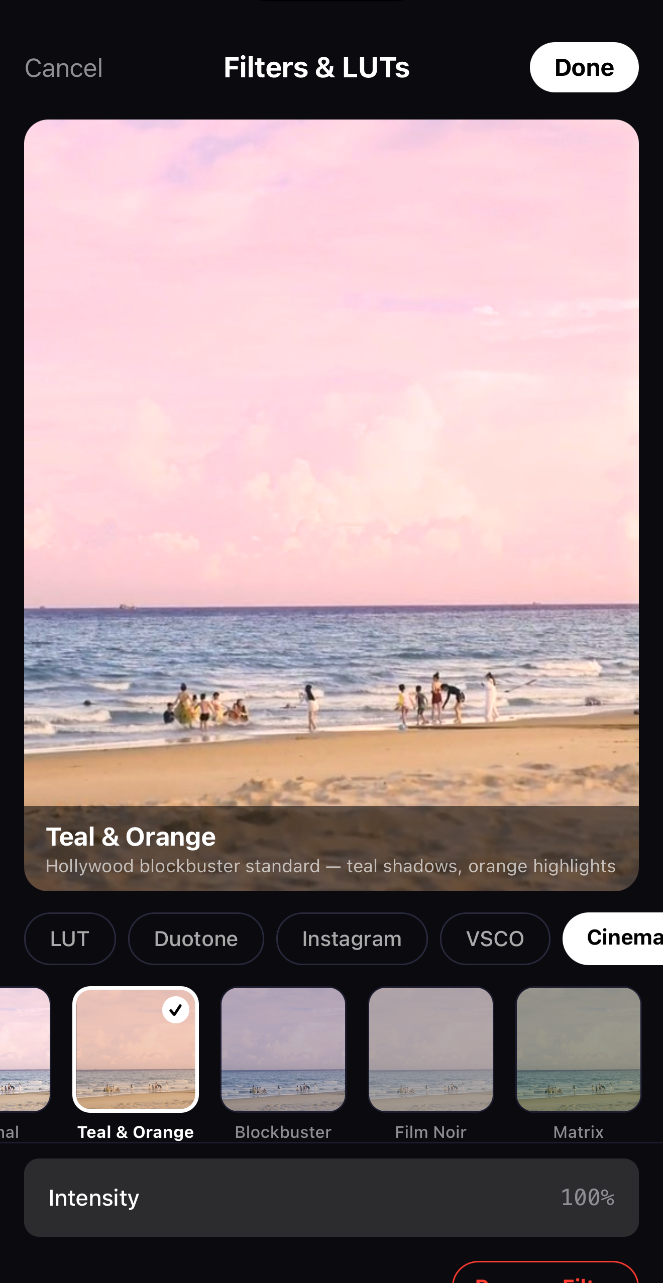 The Filters and LUTs browser showing category tabs, look thumbnails and an intensity slider