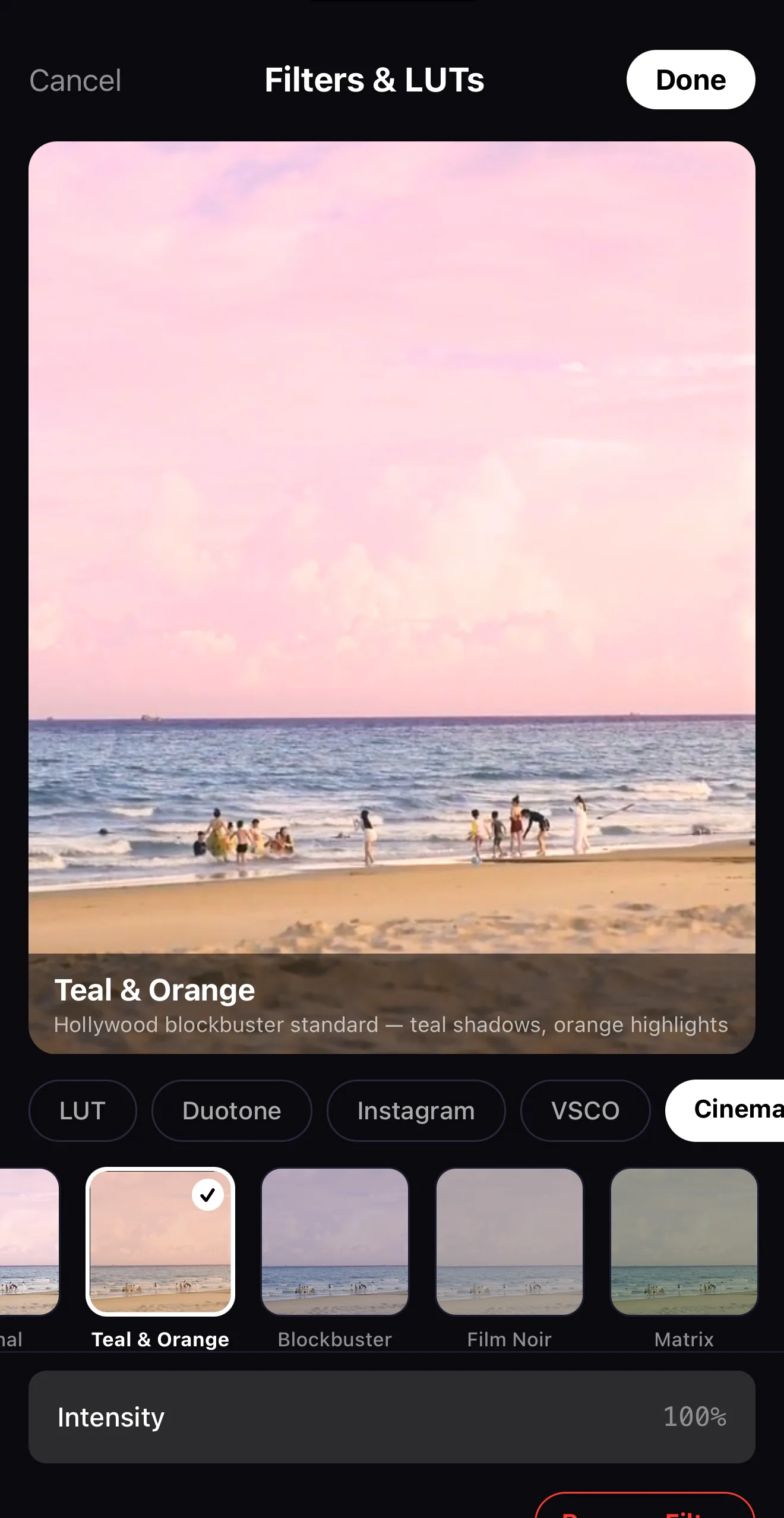 The Filters and LUTs browser showing category tabs, look thumbnails and an intensity slider