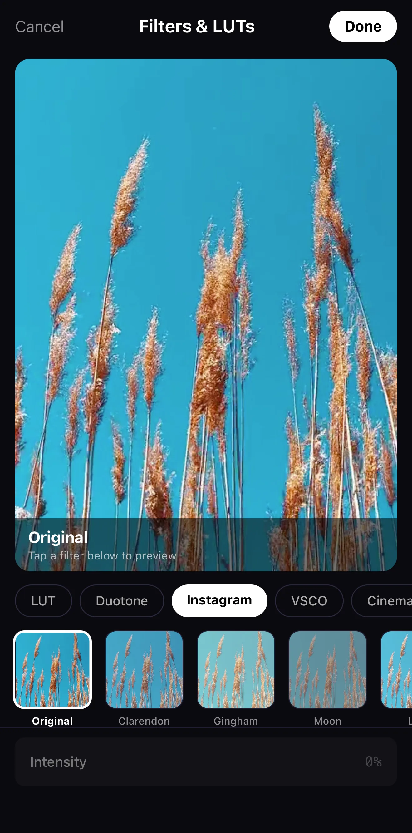 The Filters and LUTs browser in the ExpoCut mobile video editor with category tabs, look thumbnails and an intensity slider