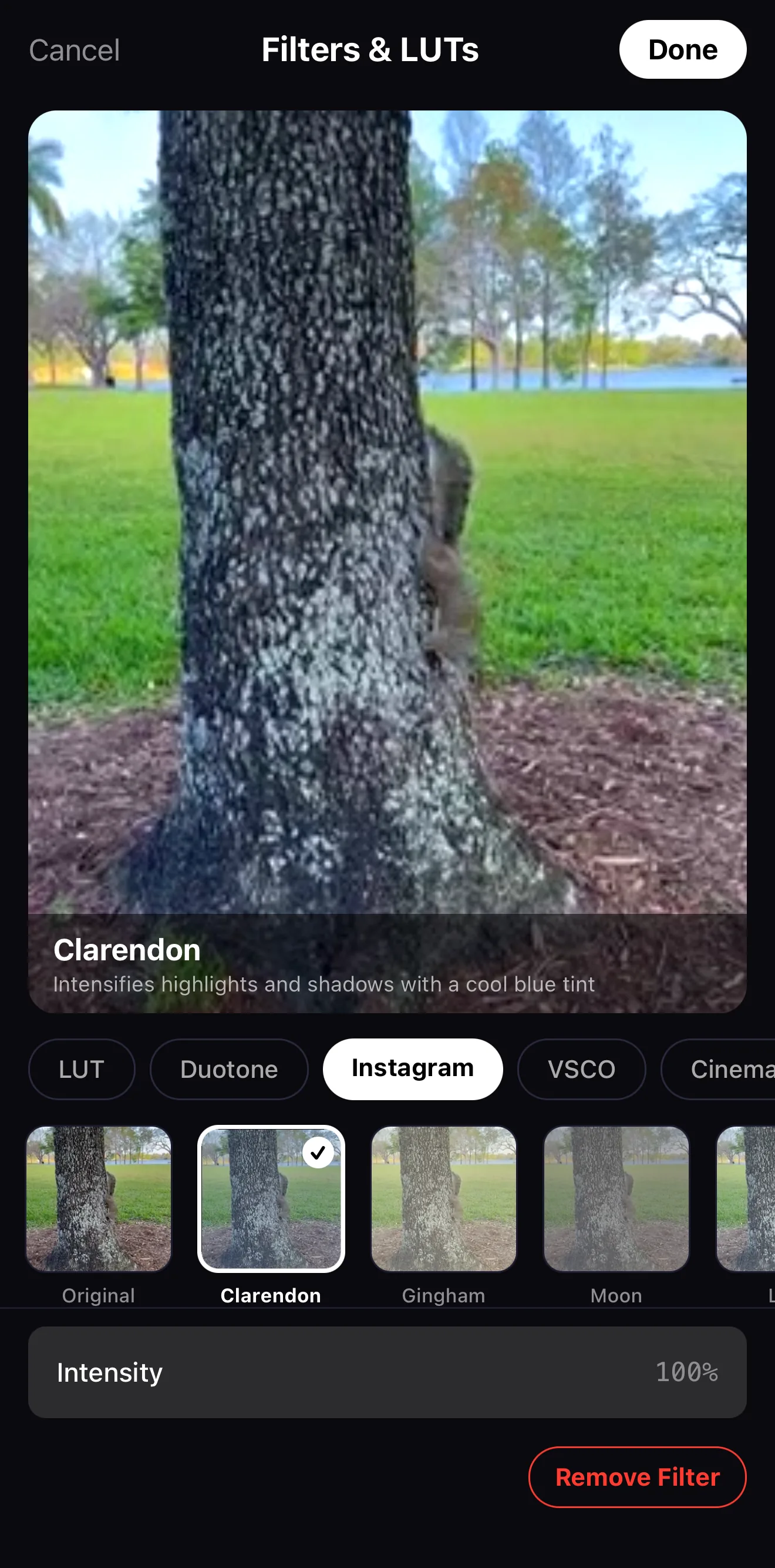 Filters and LUTs picker with Instagram, VSCO and Cinema look packs and the Clarendon filter selected at 100% intensity