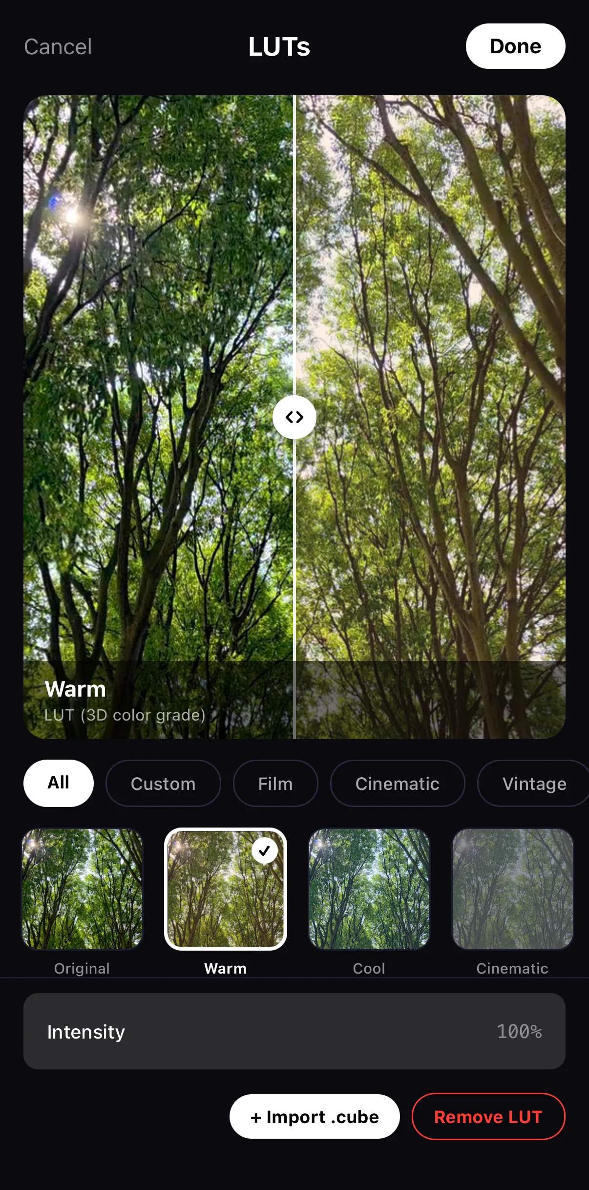 The Warm LUT applied — the preview split by a before/after line, Intensity at 100%, Remove LUT beside Import