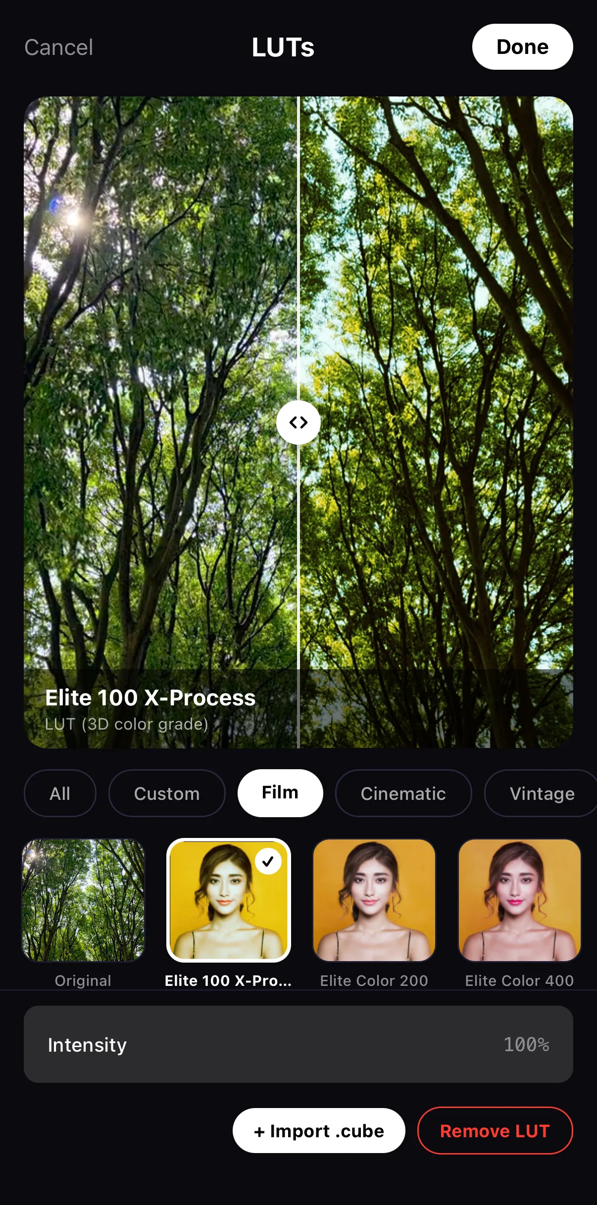 The Film tab with Elite 100 X-Process downloaded and applied, next to Elite Color 200 and Elite Color 400