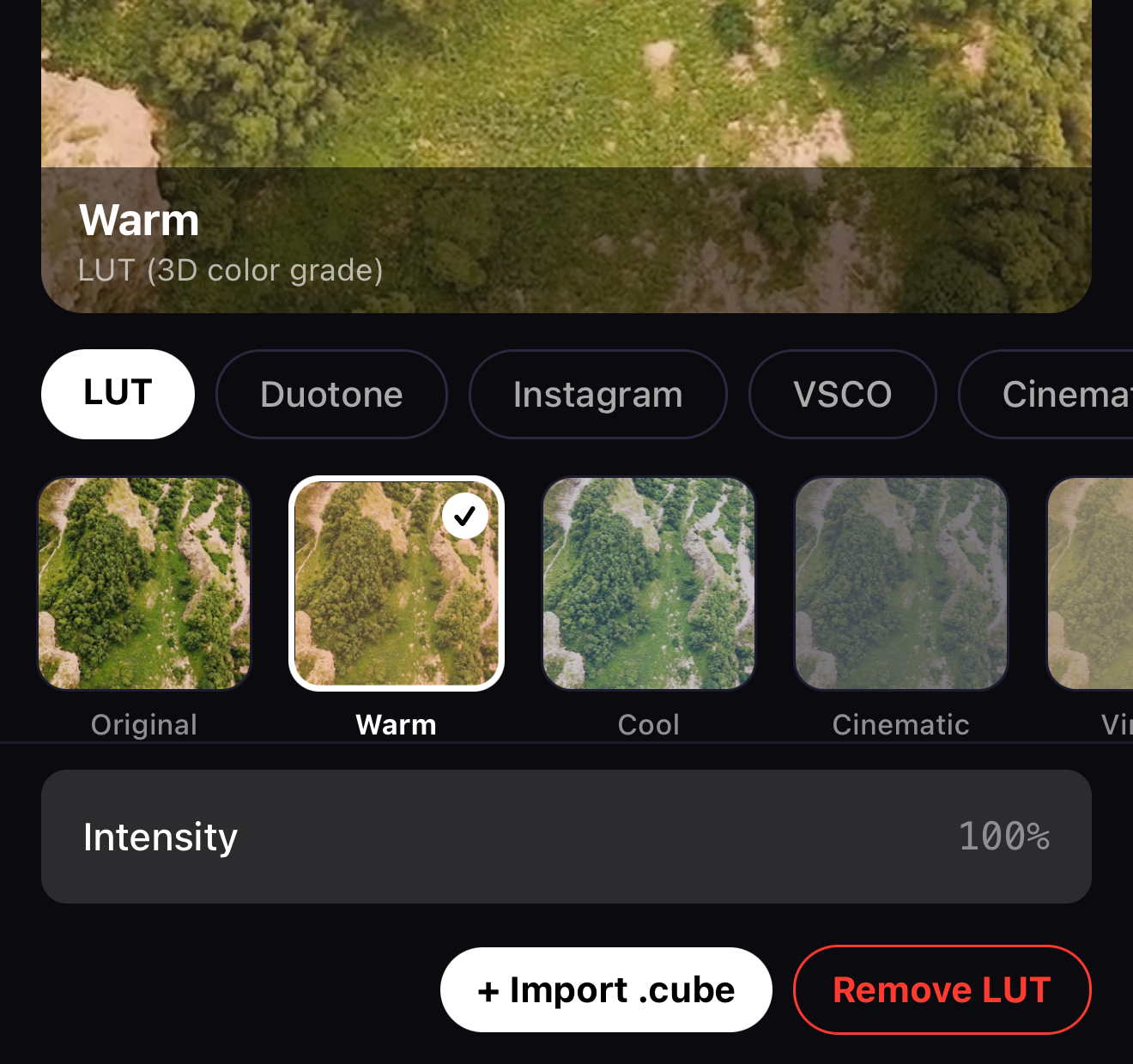 The LUT controls showing the looks strip, an Intensity slider and an Import .cube button next to Remove LUT