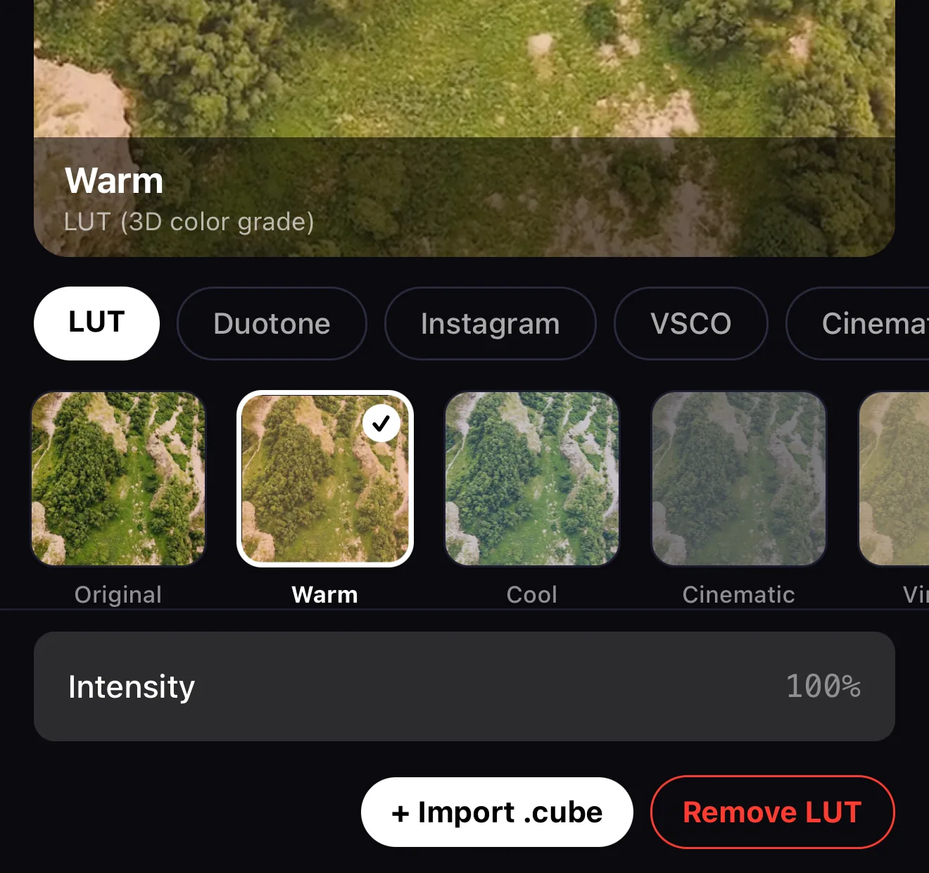 The LUT controls showing the looks strip, an Intensity slider and an Import .cube button next to Remove LUT