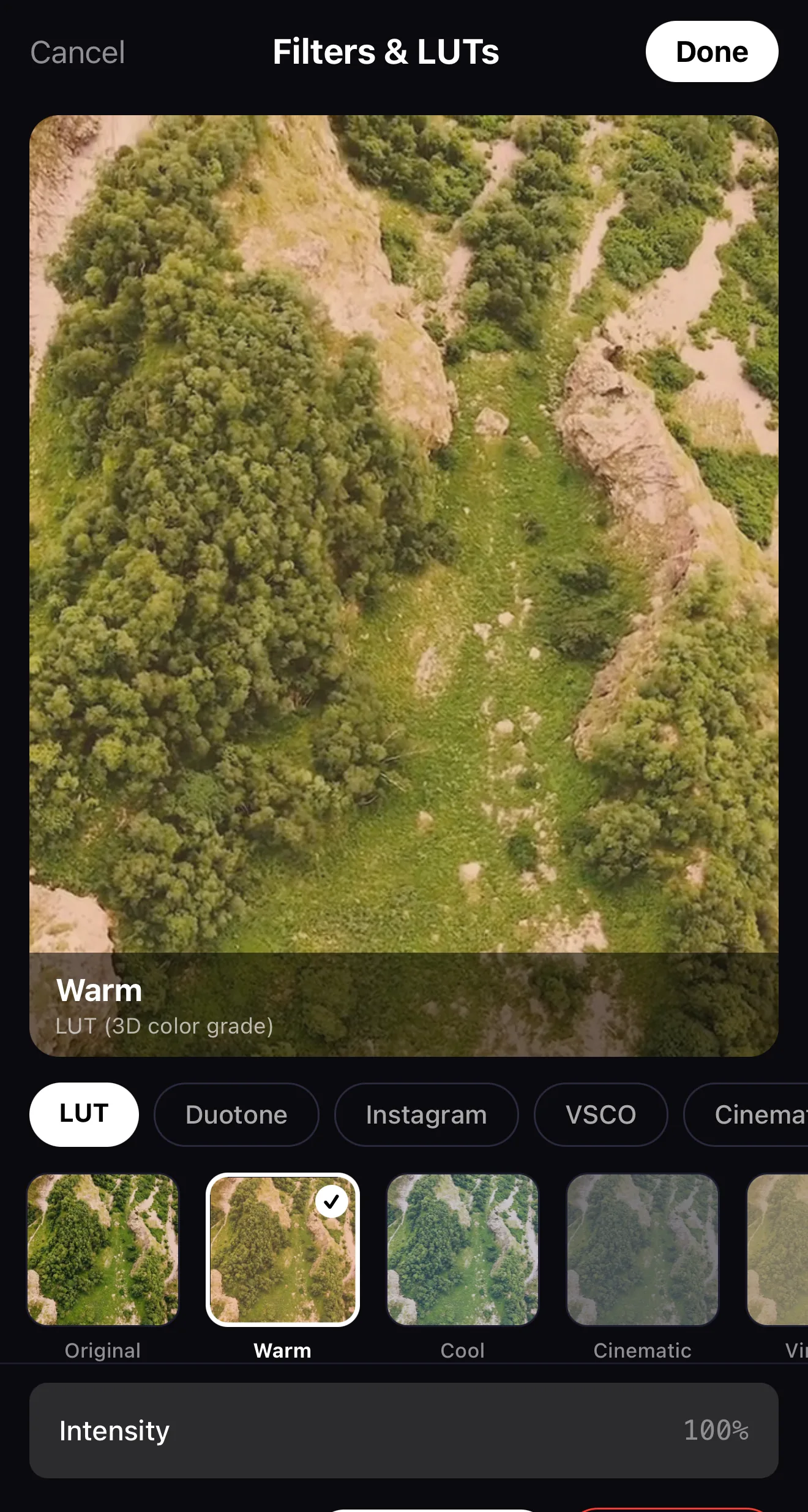 The Filters and LUTs panel on the LUT tab, with a Warm 3D color grade previewing live on a forest clip and Original, Warm, Cool, Cinematic looks below