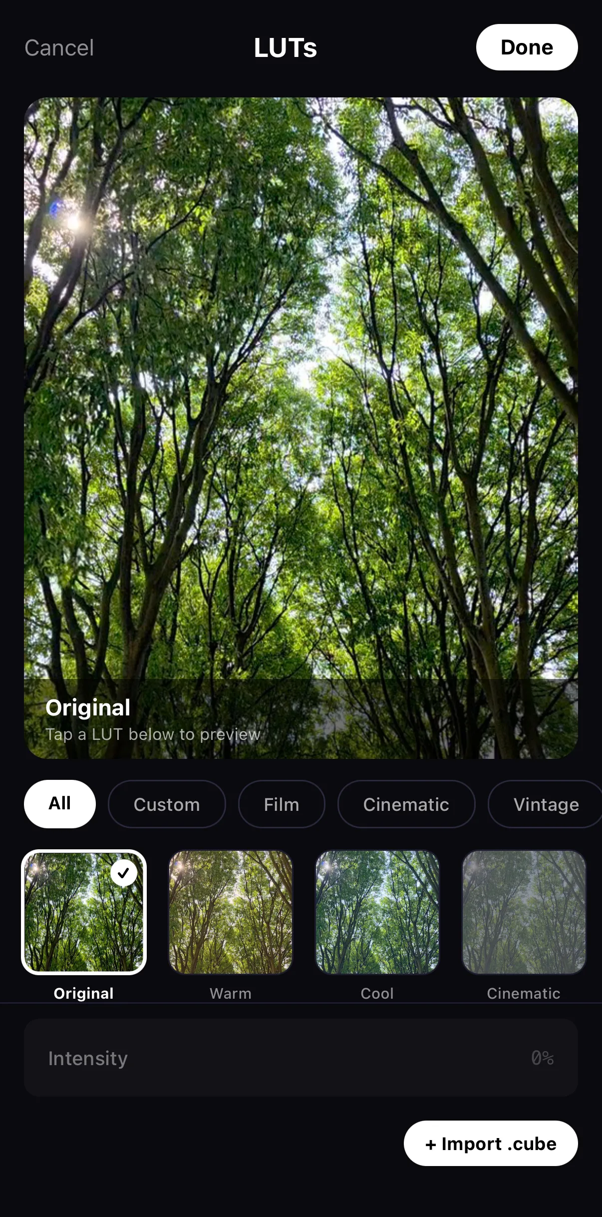 The LUTs panel with a live preview of a forest clip, All / Custom / Film / Cinematic / Vintage tabs, Original, Warm, Cool and Cinematic tiles, an Intensity slider and the + Import .cube button