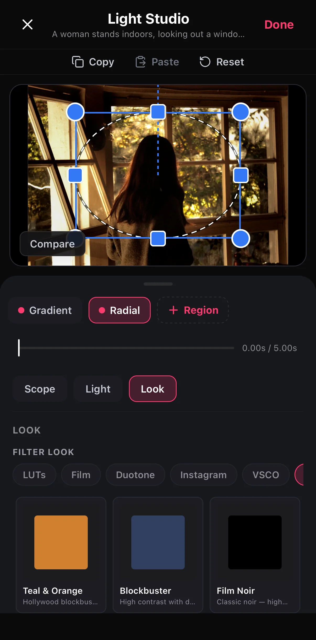The Look tab for the Radial region: Filter Look categories LUTs, Film, Duotone, Instagram, VSCO, and tiles Teal & Orange, Blockbuster and Film Noir.