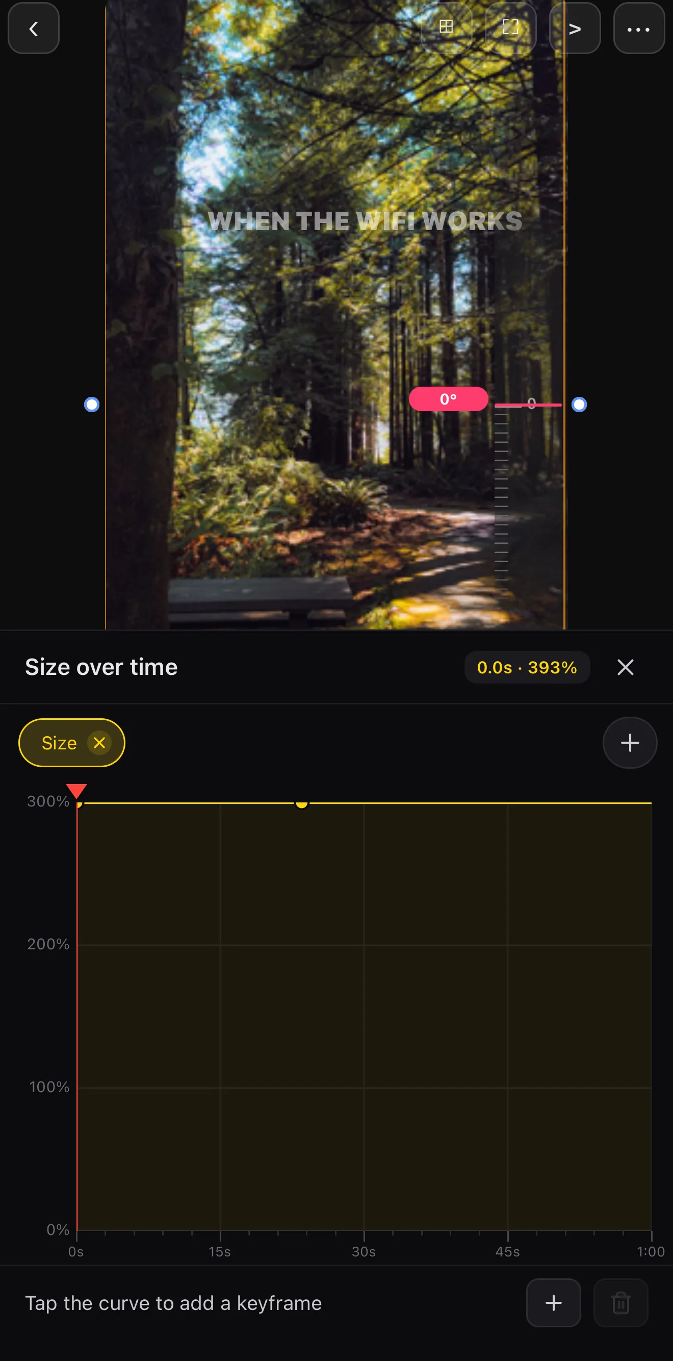 The Size over time graph editor with Size added as an animated property and a keyframe on the curve.