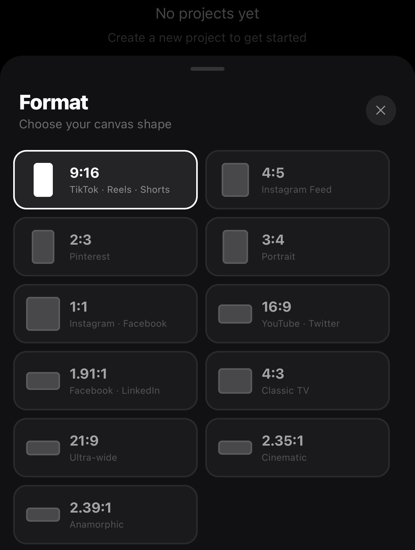 The Format sheet with the 9:16 aspect ratio selected