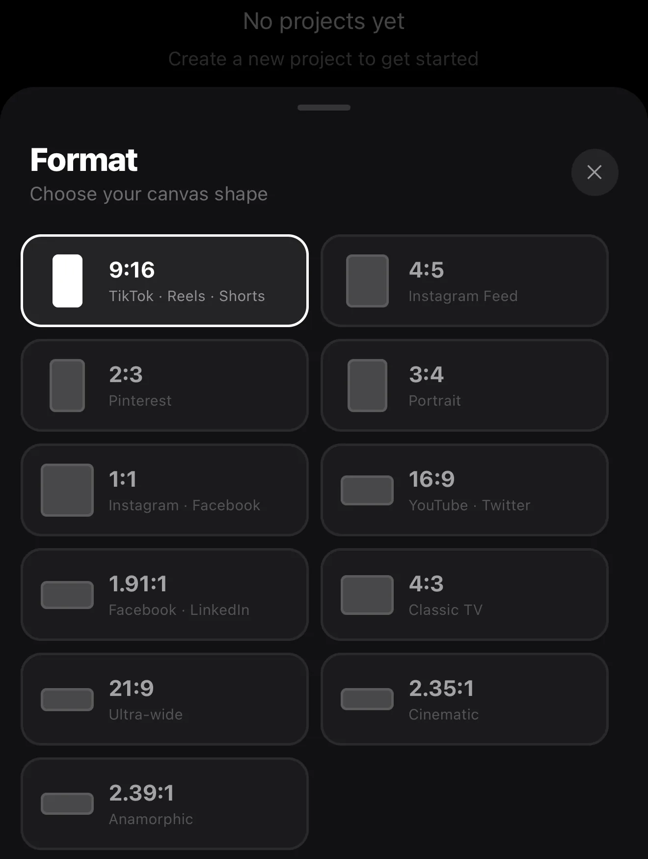 The Format sheet with the 9:16 aspect ratio selected