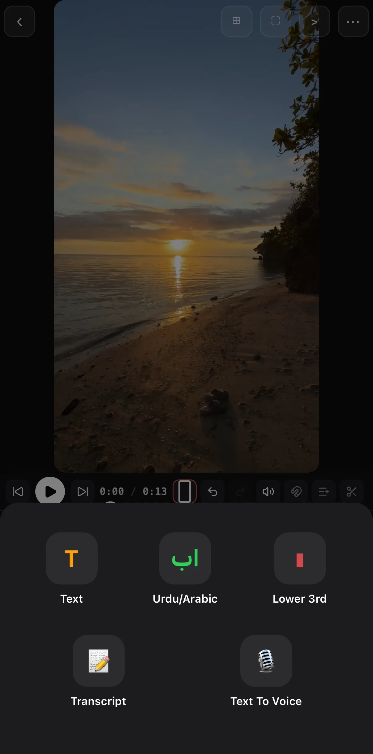 The Text tool fan-out with Text, Urdu/Arabic, Lower 3rd, Transcript and Text To Voice