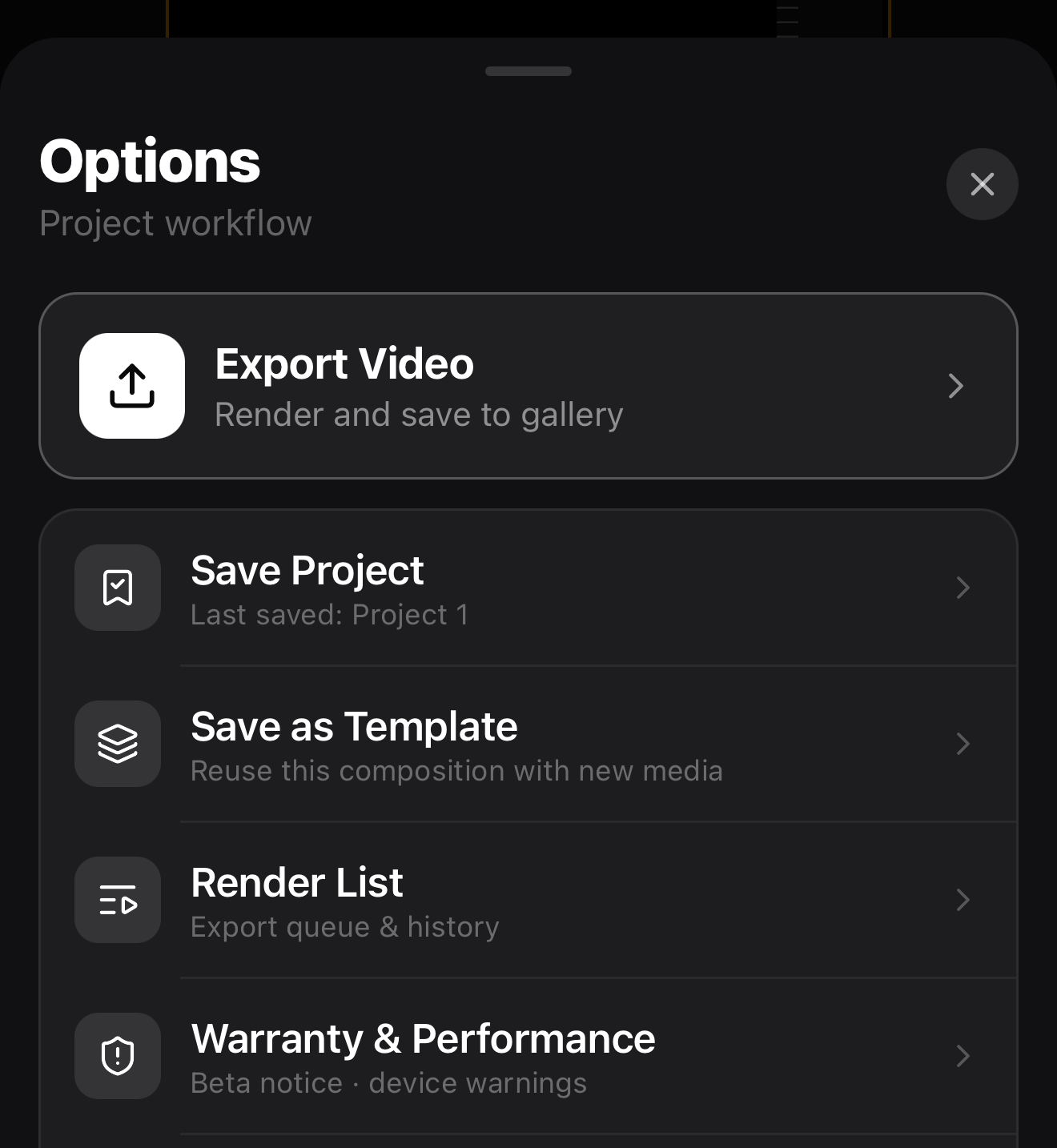 The Options menu with Export Video highlighted