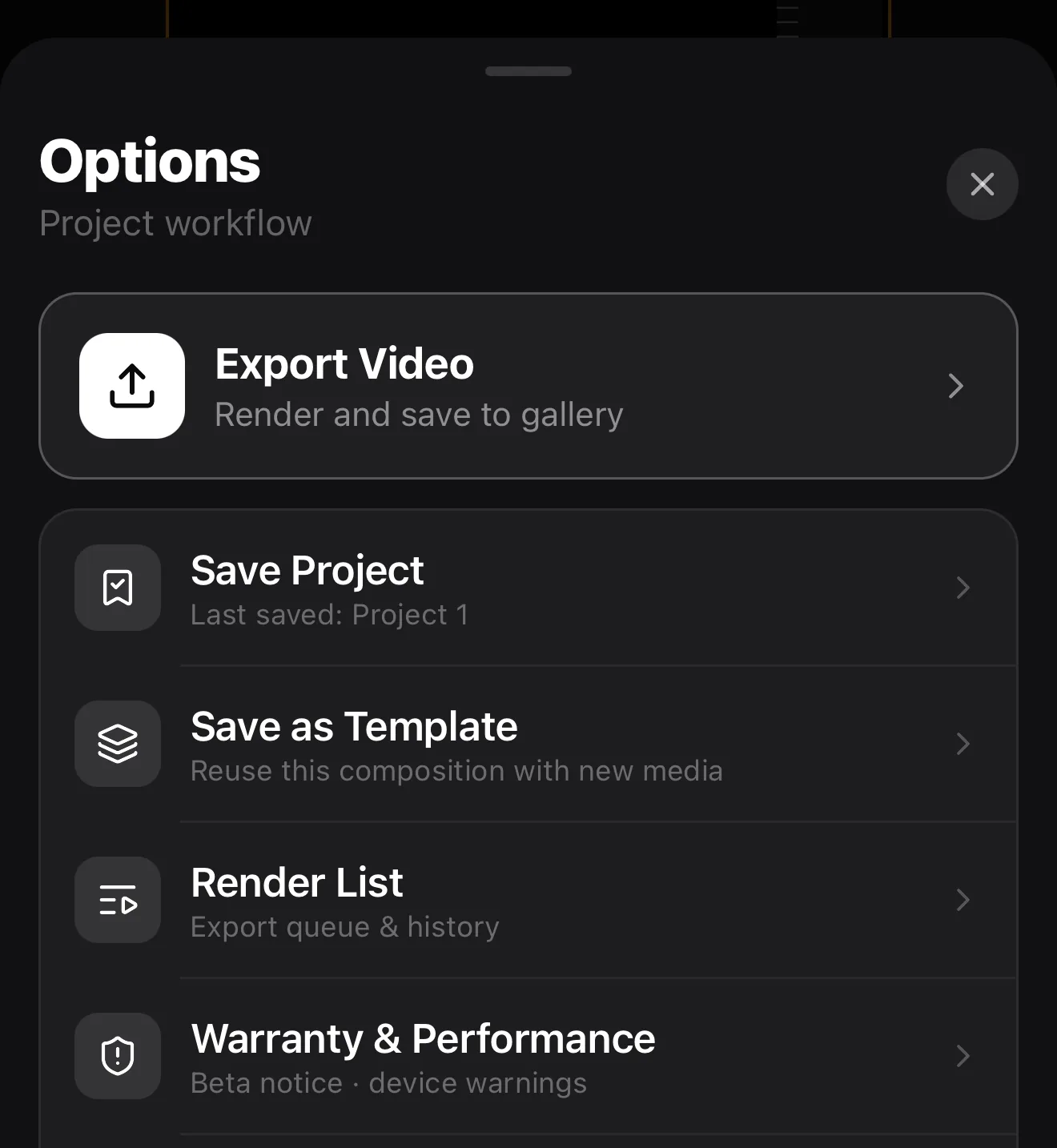 The Options menu with Export Video highlighted