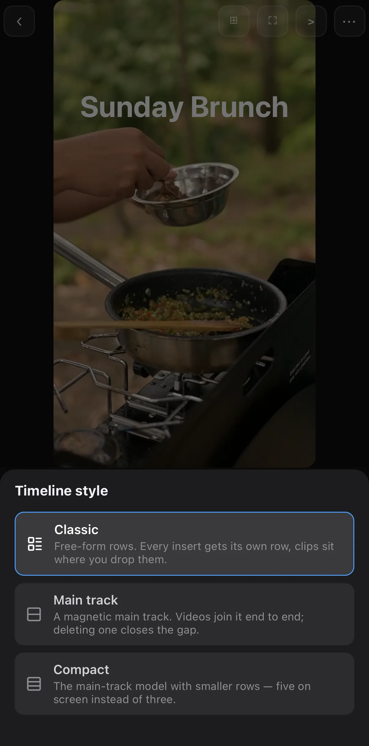 The Timeline style sheet with Classic, Main track and Compact options