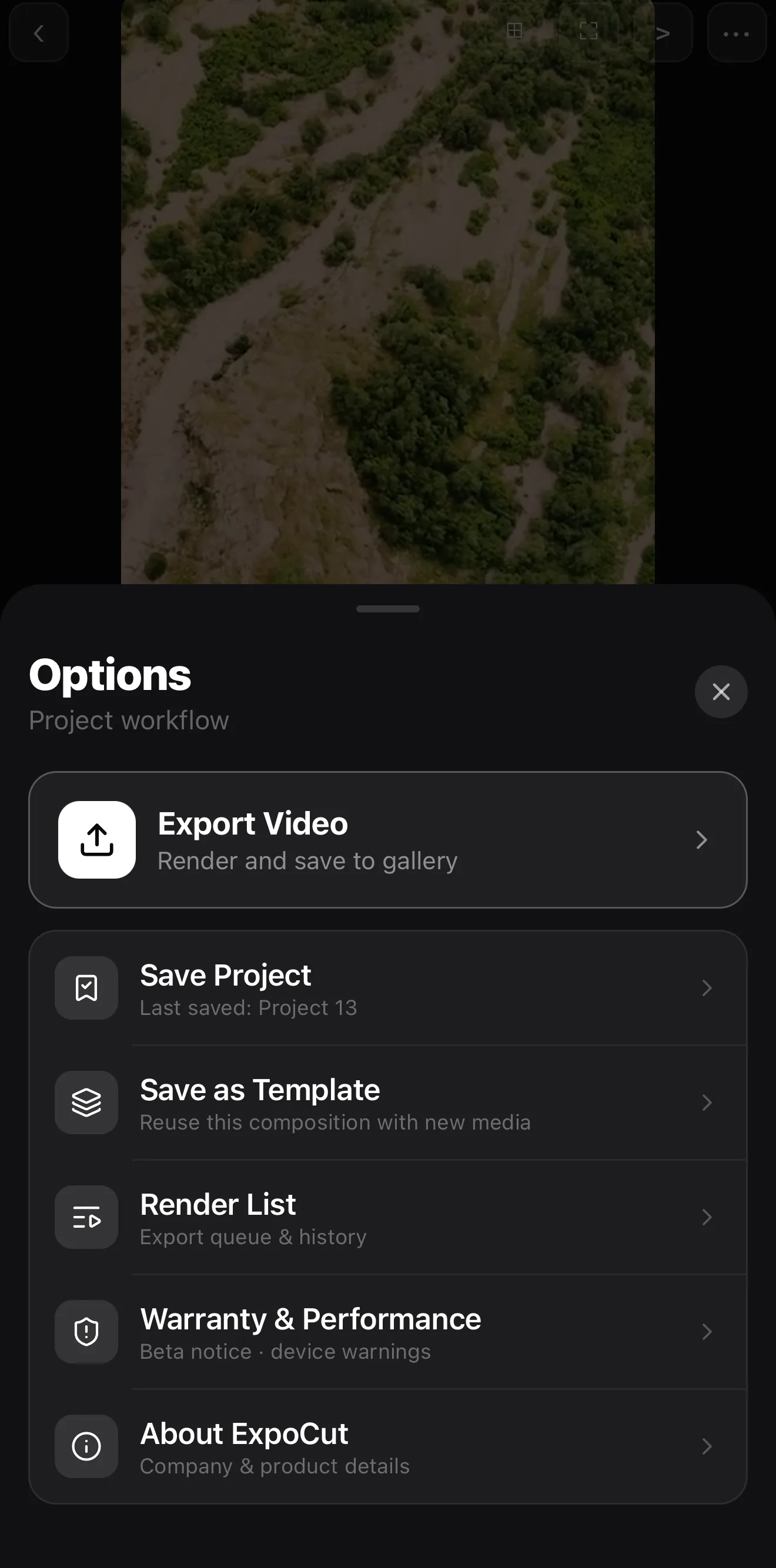 The project Options sheet with Export Video, Save Project, and Save as Template highlighted.